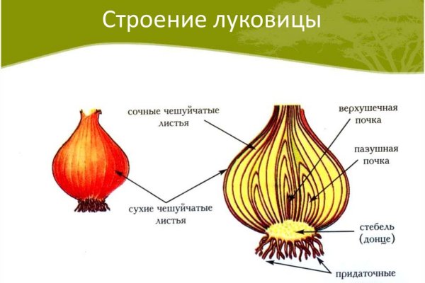 Даркнет каталог