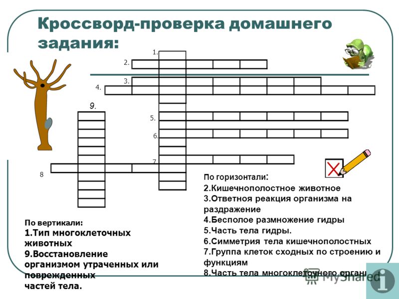 Кракен макет даркнет